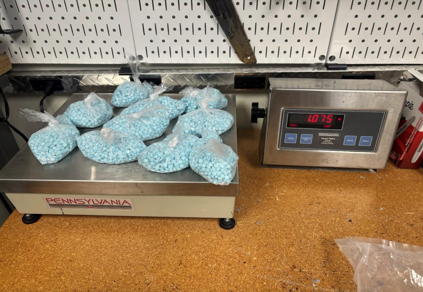 Large-Scale Fentanyl Seizure Leads to Arrest in Bay City